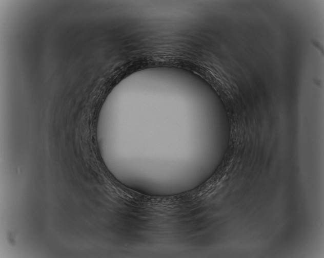 X0000092310817200709141029