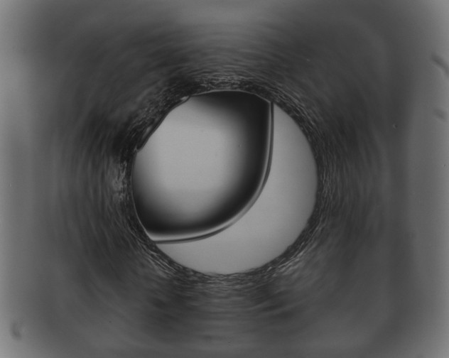X0000092310818200709141029