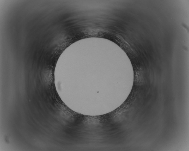 X0000092310820200709141029