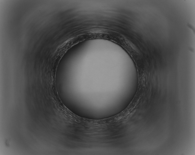 X0000092310821200709141029
