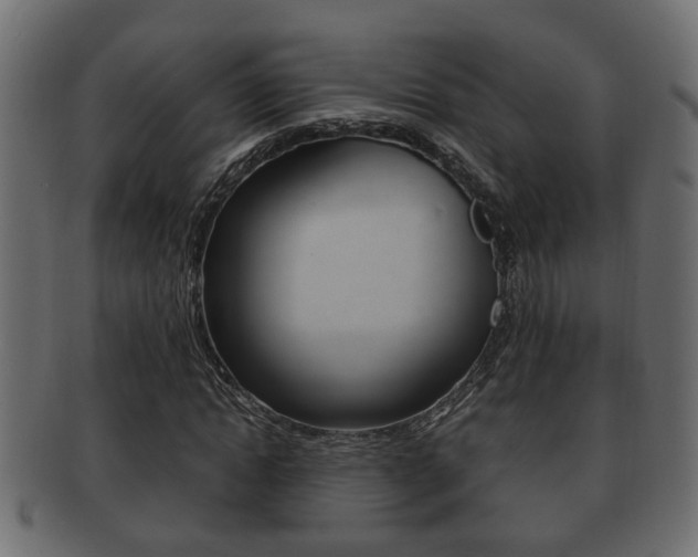 X0000092310822200709141029