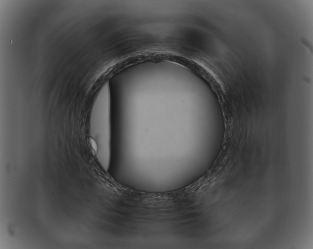 X0000092310823200709141029