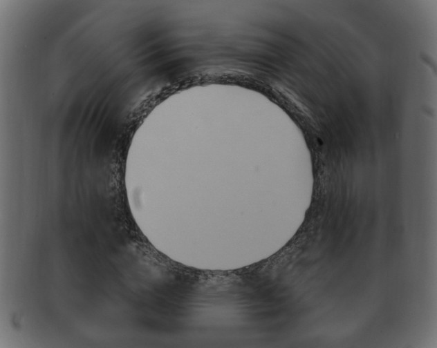 X0000092310824200709141029