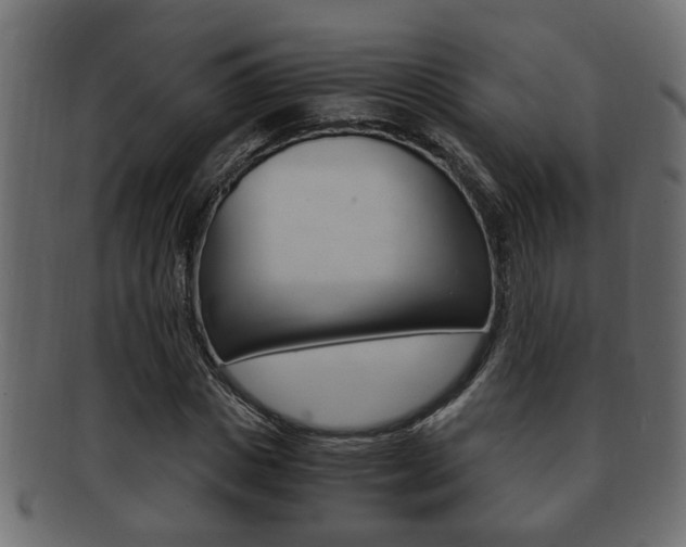 X0000092310825200709141029
