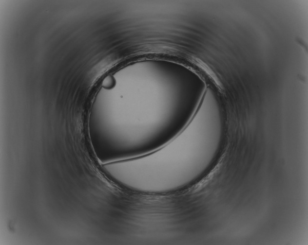 X0000092310826200709141029