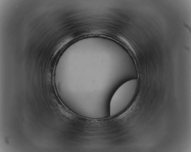 X0000092310827200709141029