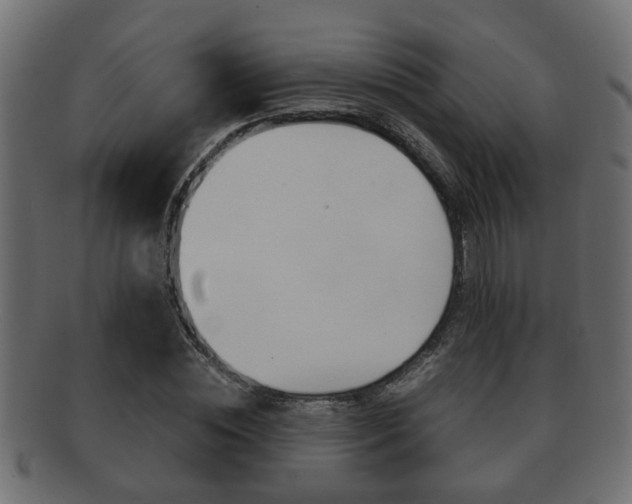 X0000092310828200709141029