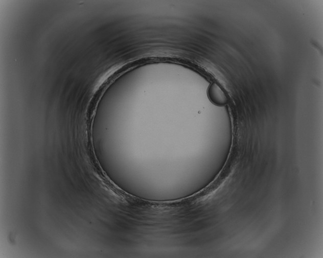X0000092310829200709141029