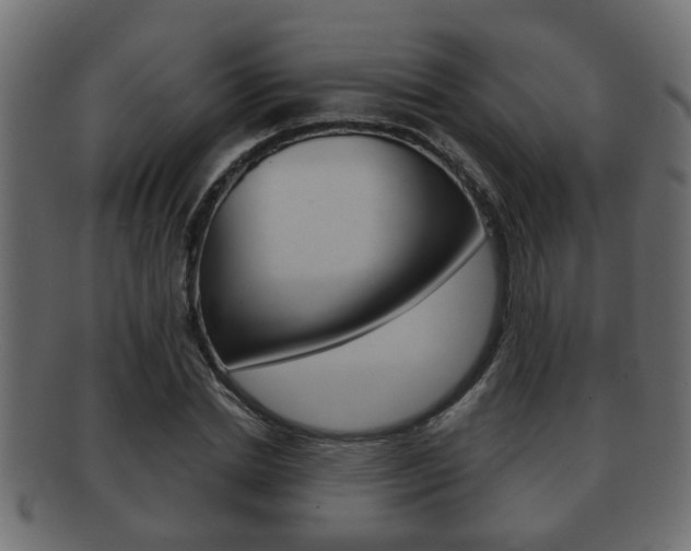 X0000092310830200709141029