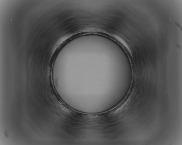 X0000092310831200709141029