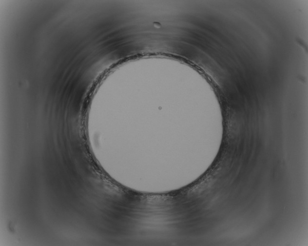 X0000092310832200709141029