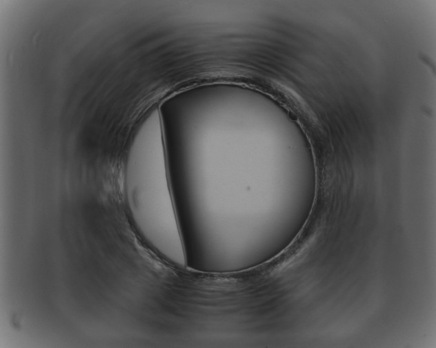 X0000092310833200709141029