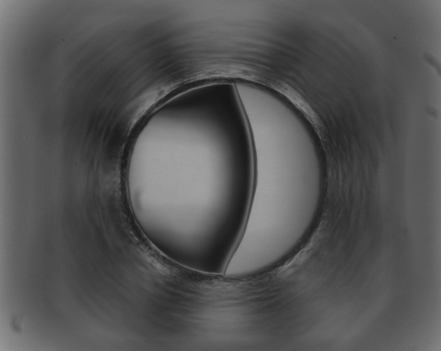 X0000092310834200709141029
