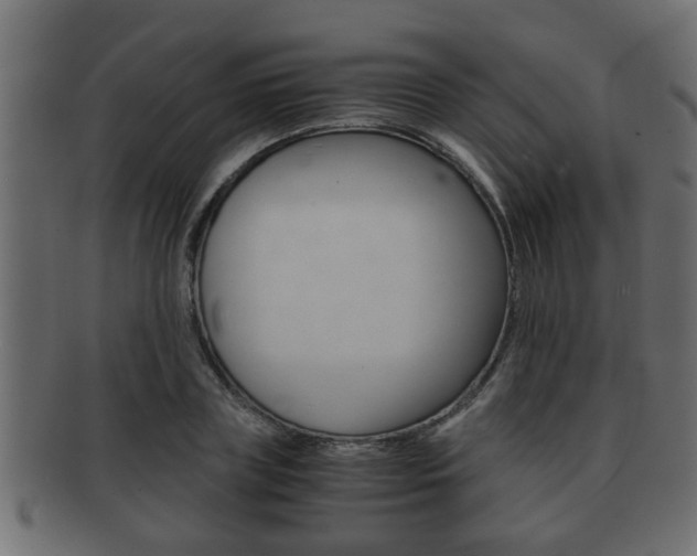 X0000092310835200709141029