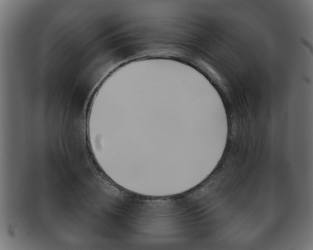 X0000092310836200709141029