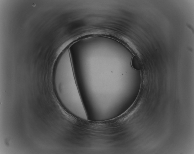 X0000092310837200709141029