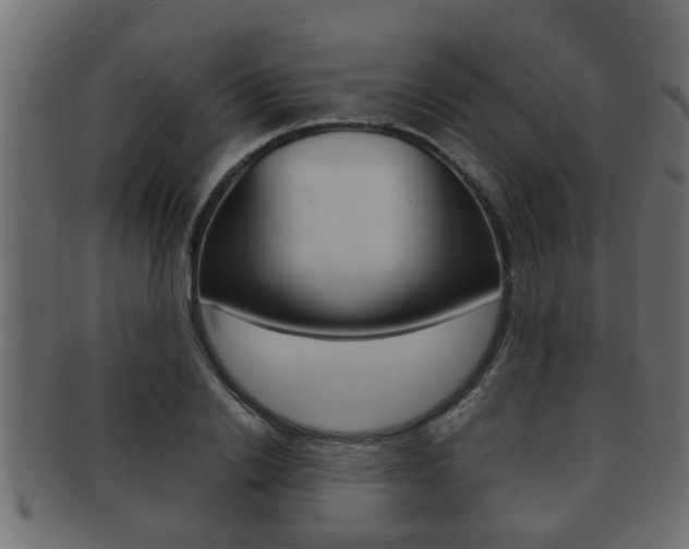 X0000092310838200709141029