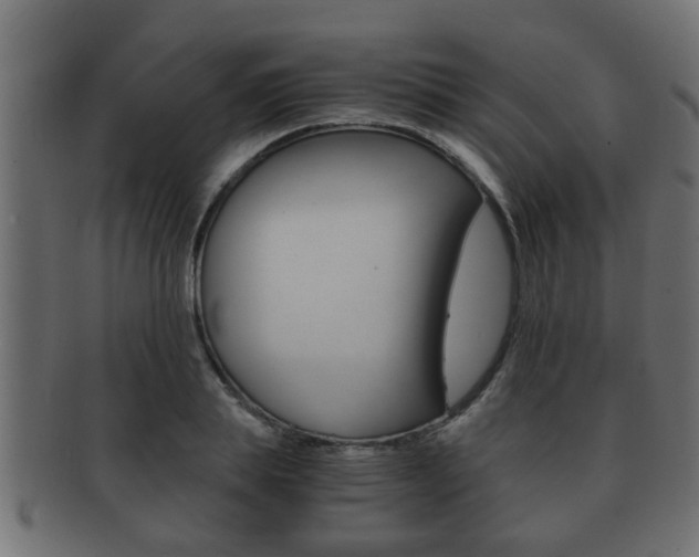 X0000092310839200709141029