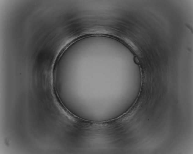 X0000092310840200709141029