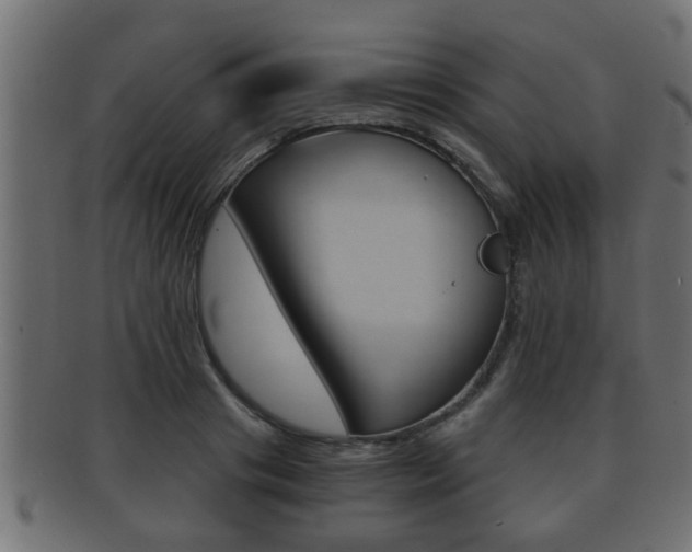 X0000092310841200709141029
