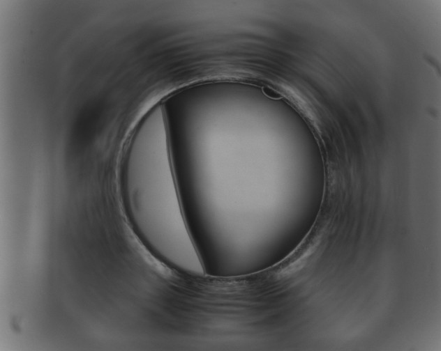 X0000092310843200709141029