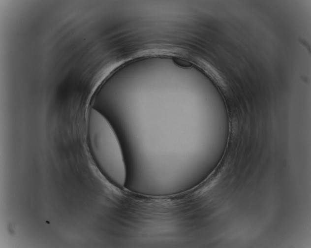 X0000092310844200709141029