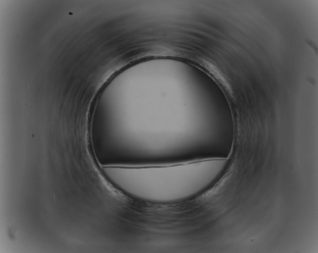 X0000092310845200709141029