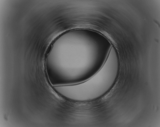 X0000092310846200709141029