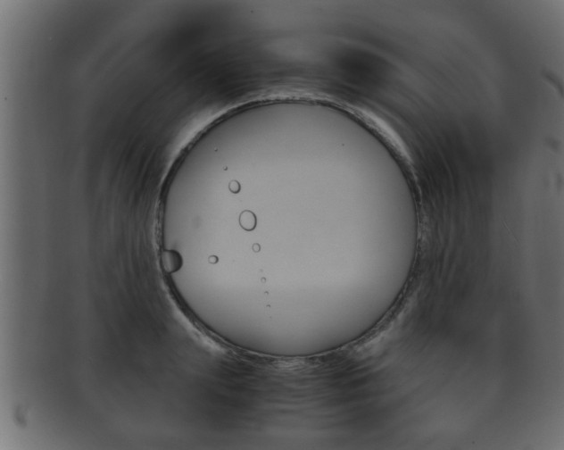 X0000092310847200709141029