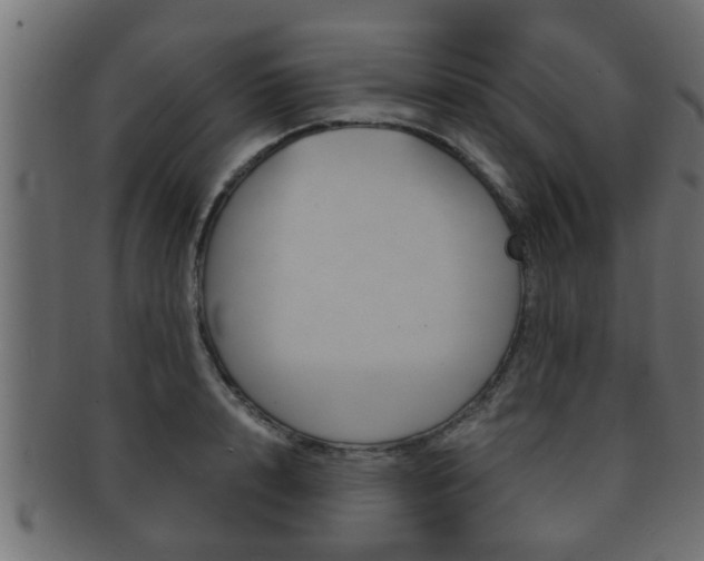 X0000092310848200709141029