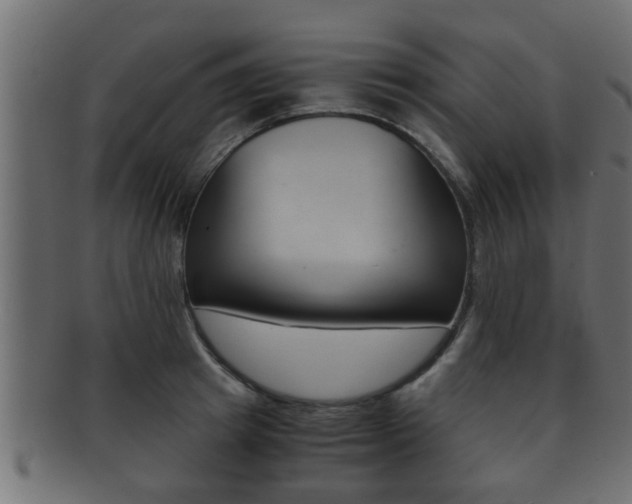 X0000092310849200709141029