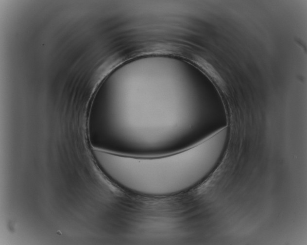 X0000092310850200709141029