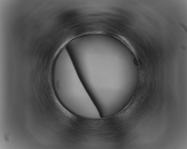 X0000092310851200709141029