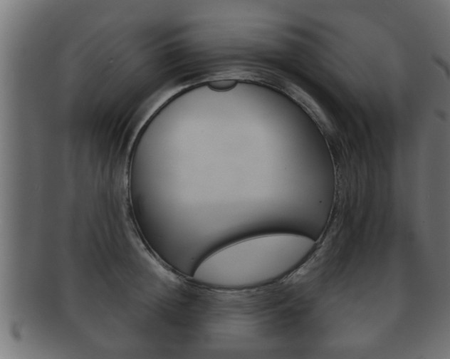 X0000092310852200709141029
