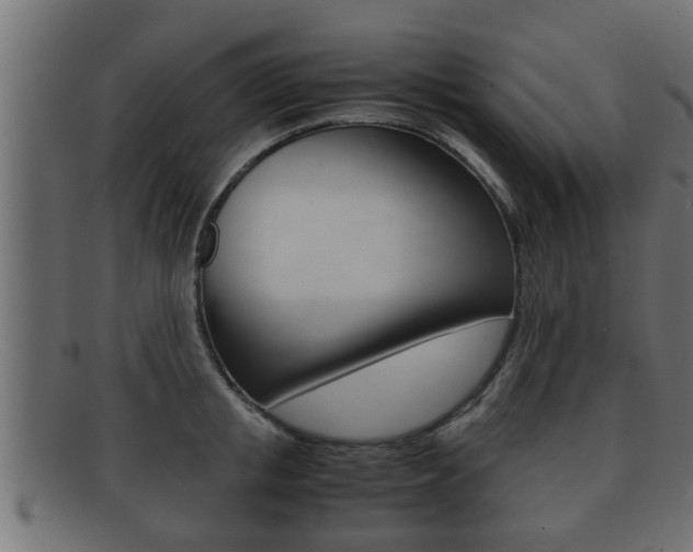 X0000092310853200709141029