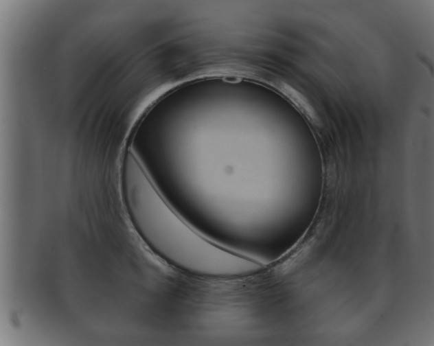 X0000092310854200709141029