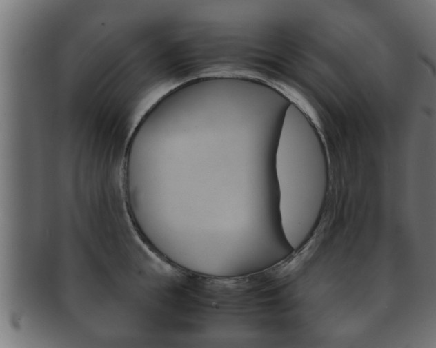 X0000092310855200709141029