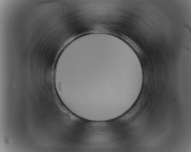 X0000092310856200709141029