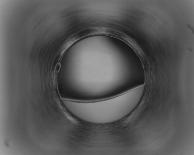 X0000092310858200709141029