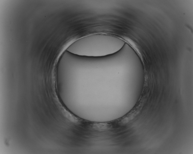 X0000092310859200709141029