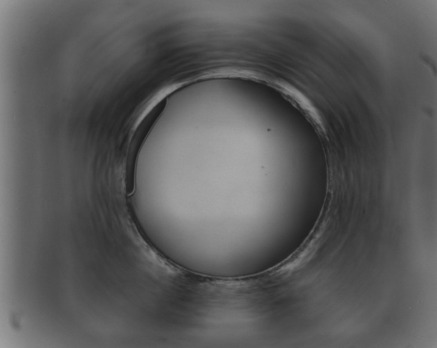 X0000092310860200709141029