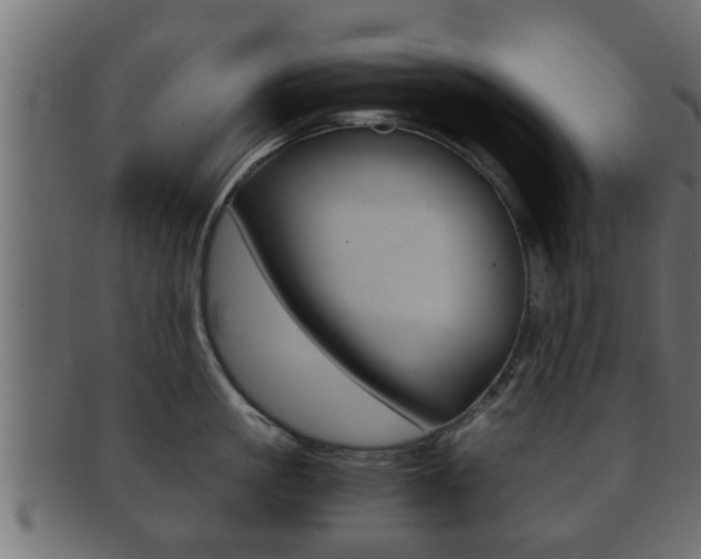X0000092310861200709141030