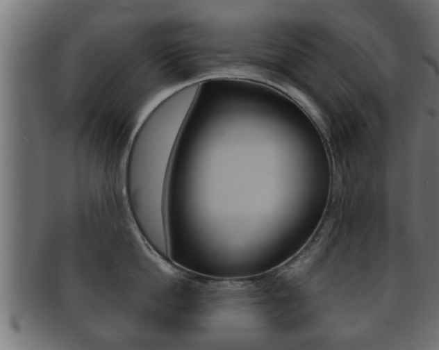 X0000092310862200709141030