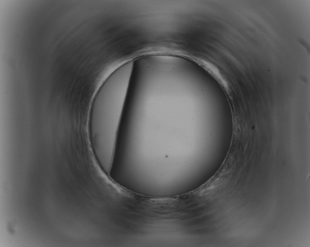X0000092310863200709141030