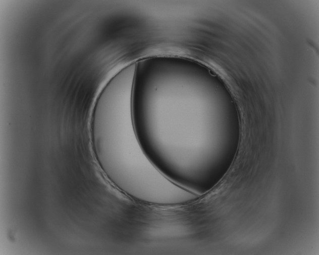 X0000092310864200709141030