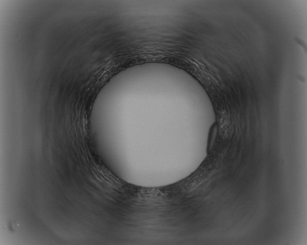 X0000092310866200709141029