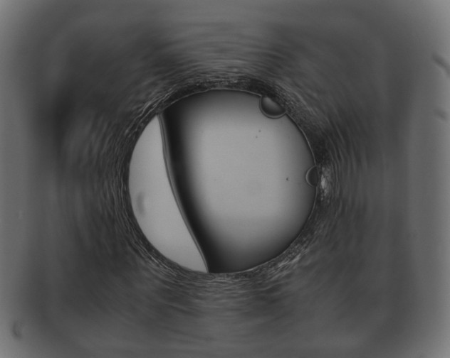 X0000092310867200709141029