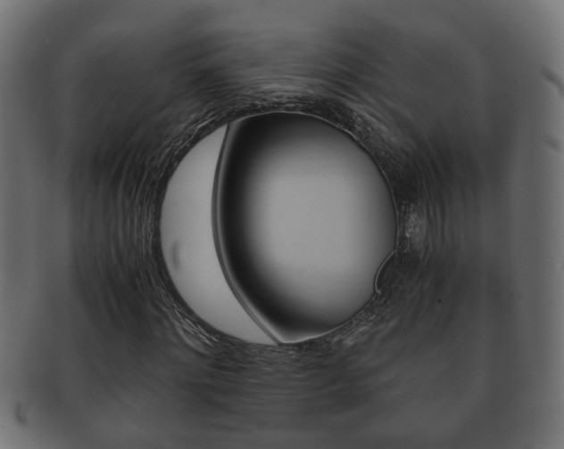 X0000092310868200709141029