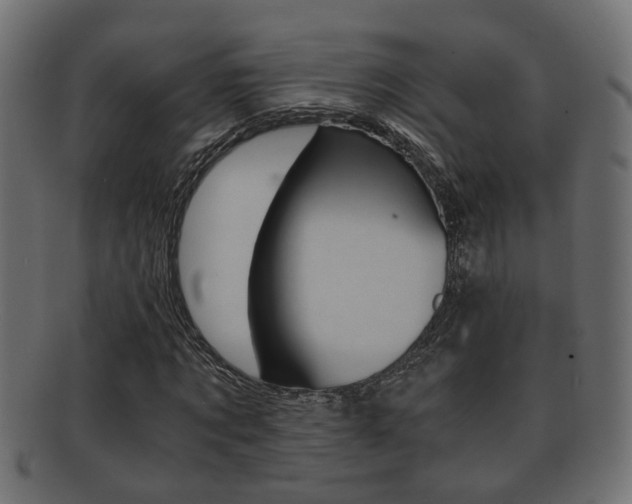 X0000092310869200709141029