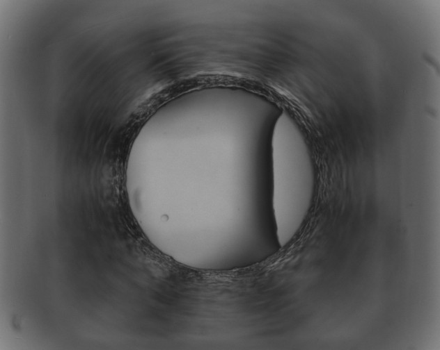 X0000092310870200709141029